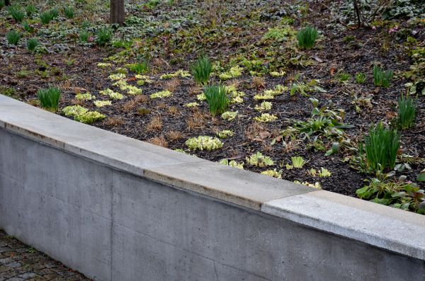 Concrete Wall Construction in Tehachapi