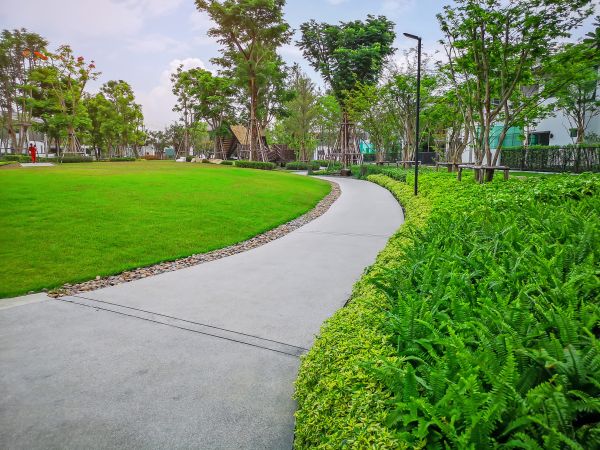 Cement Walkway Service in Tehachapi